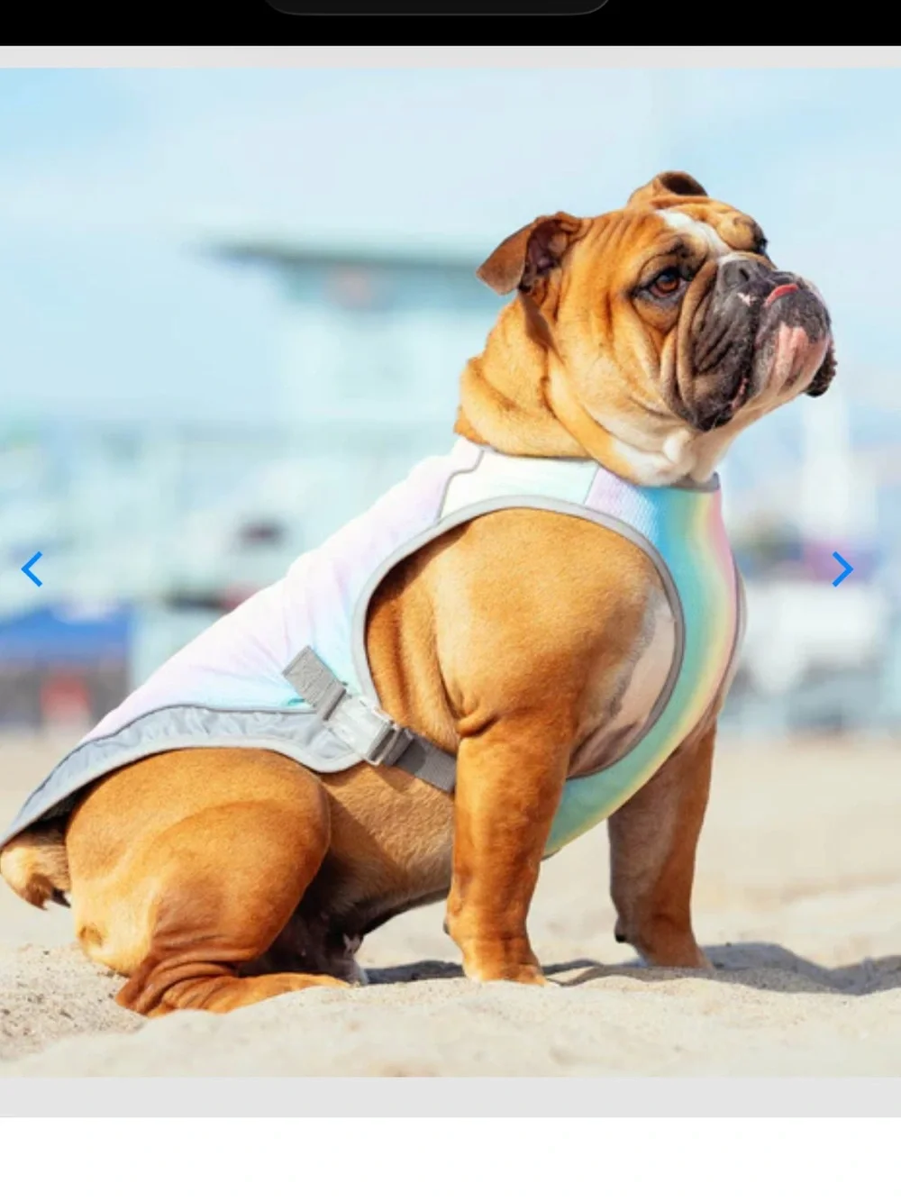 Canada Pooch Chill Seeker Pastel Rainbow Cooling Dog Vest size 16